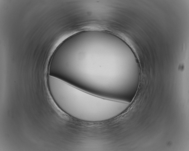 X0000091491195200708161204