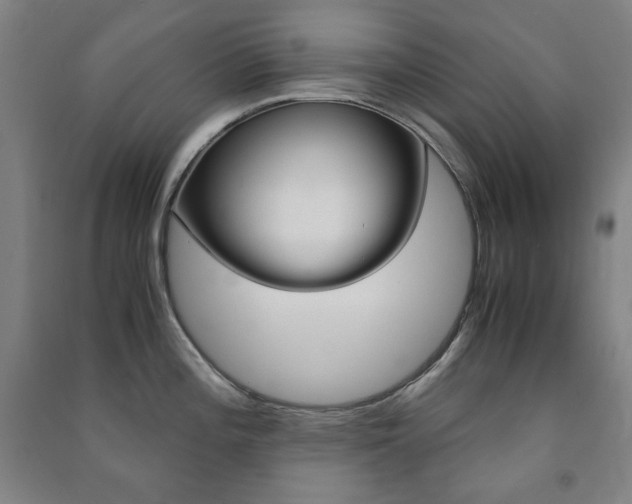 X0000091491196200708161204