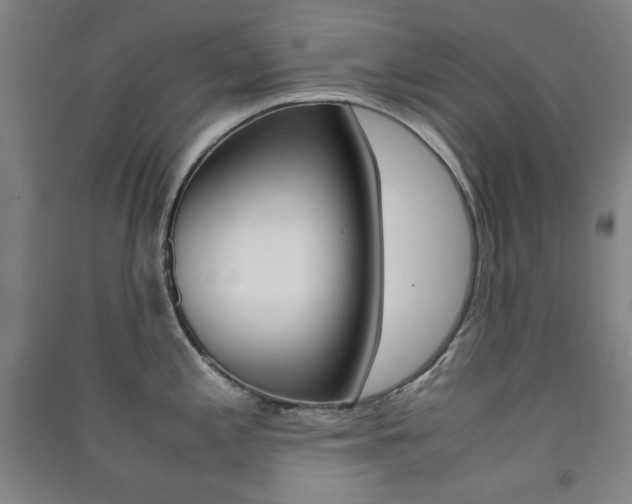 X0000091491197200708161204