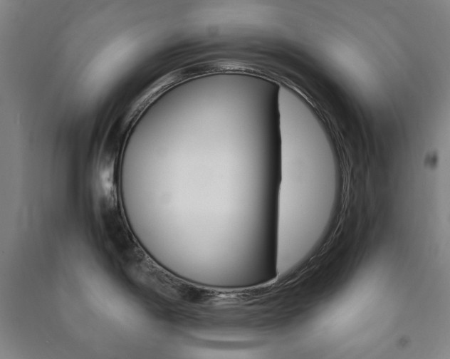 X0000091491198200708161204