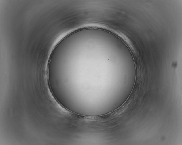 X0000091491199200708161204