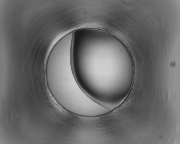 X0000091491200200708161204