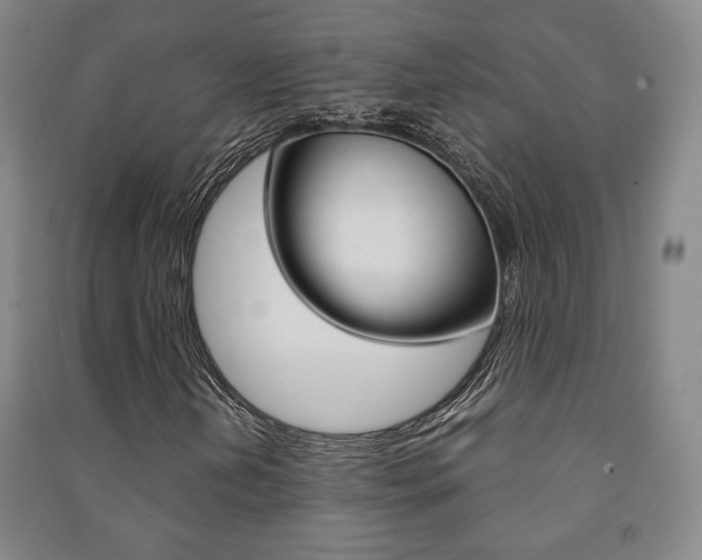 X0000091491202200708161203