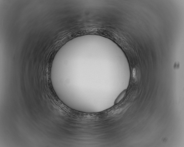 X0000091491203200708161203
