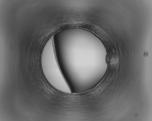 X0000091491204200708161203