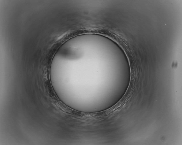 X0000091491205200708161203