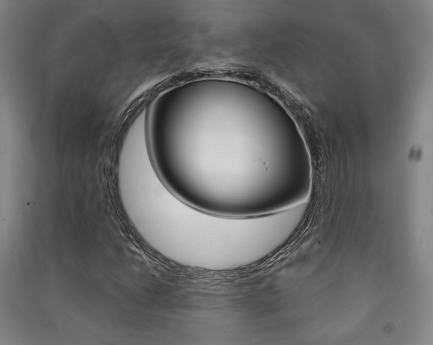 X0000091491206200708161203