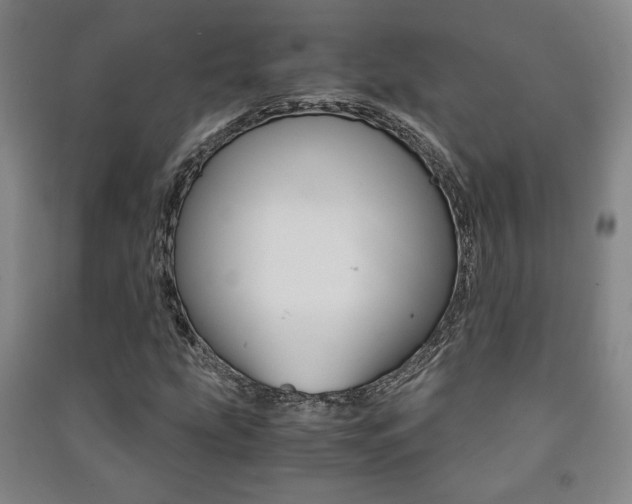 X0000091491207200708161203