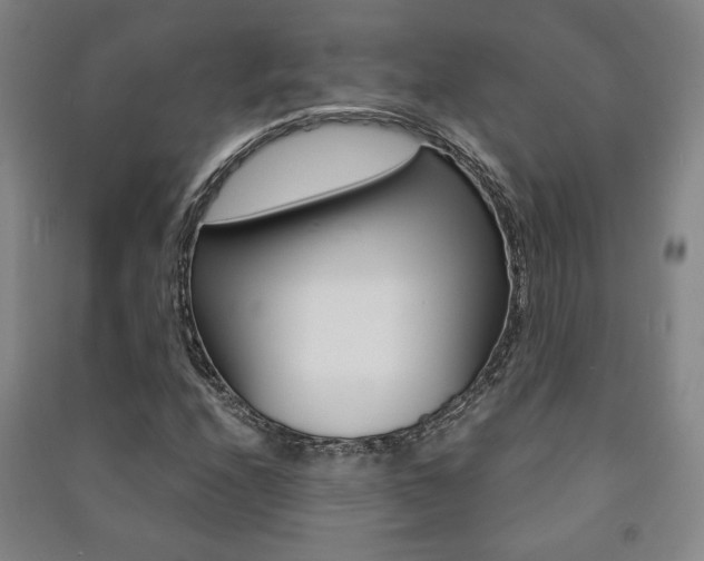 X0000091491208200708161203