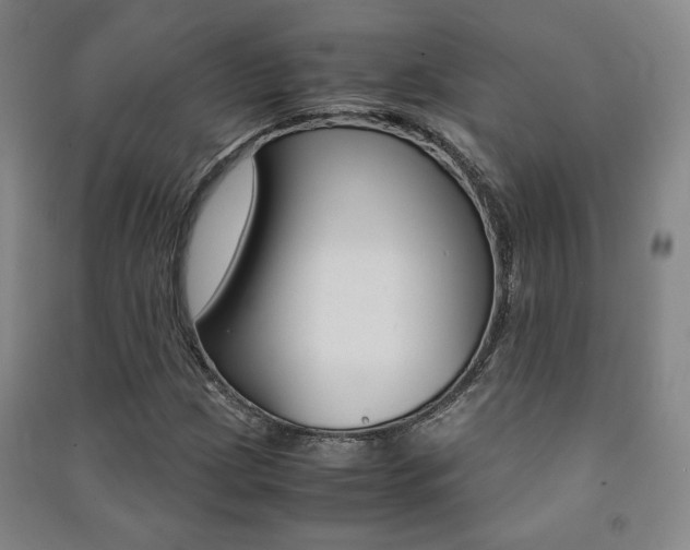 X0000091491209200708161203