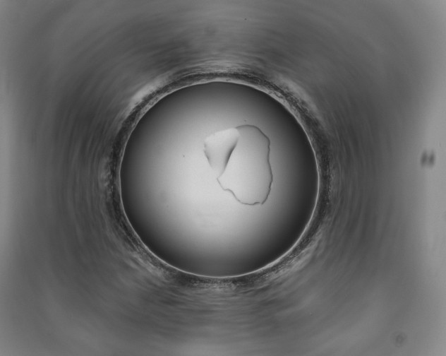 X0000091491210200708161203