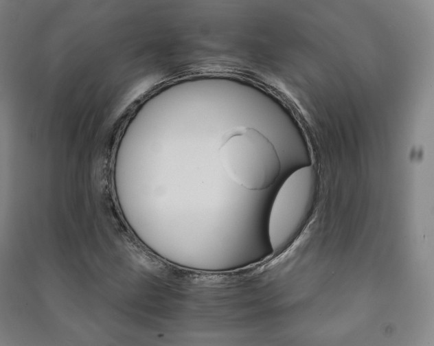 X0000091491211200708161203