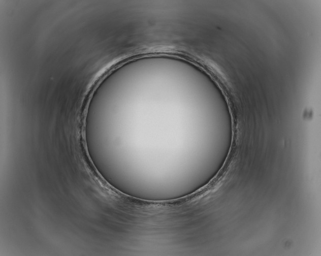 X0000091491212200708161203