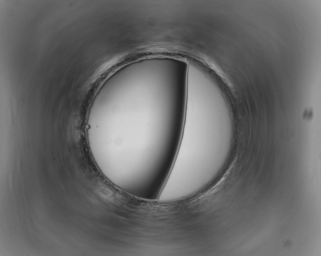 X0000091491213200708161203