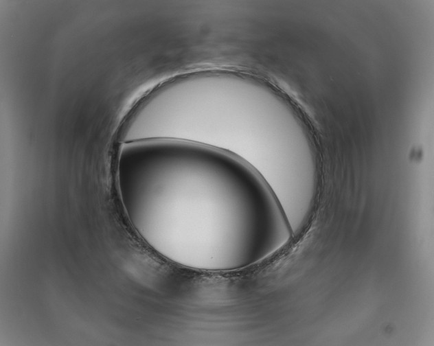 X0000091491214200708161203