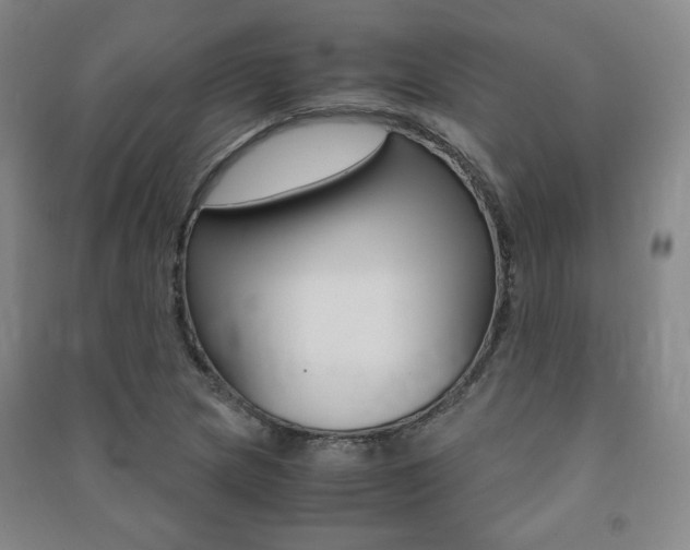 X0000091491217200708161203