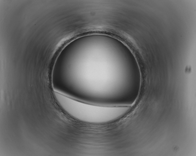 X0000091491218200708161203