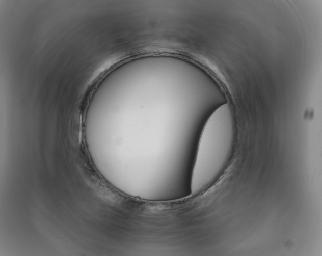 X0000091491219200708161203