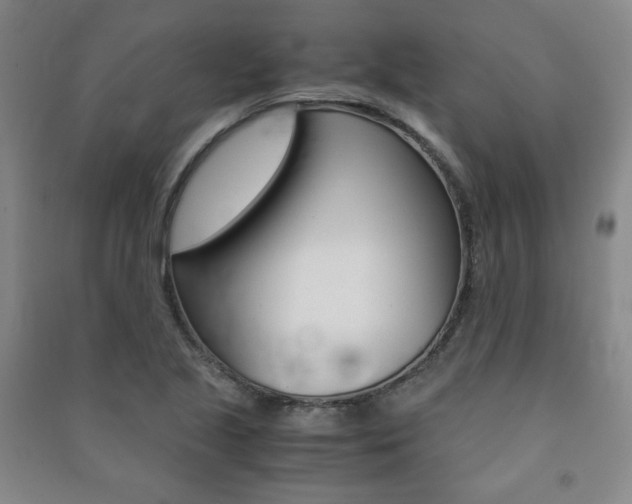 X0000091491221200708161203
