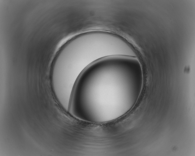 X0000091491222200708161203