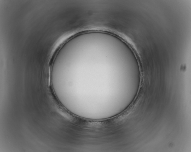 X0000091491223200708161203