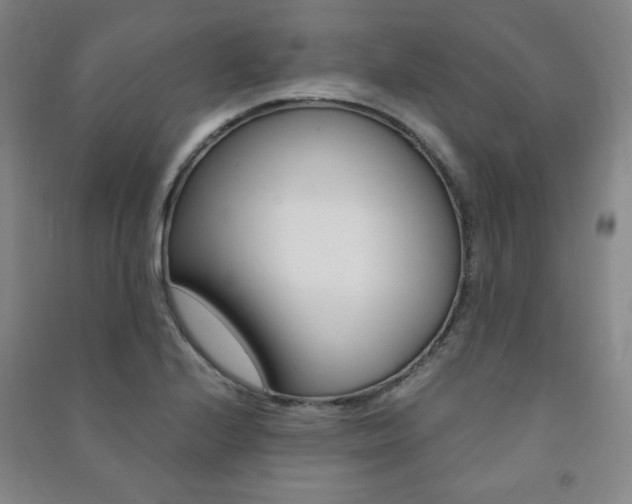 X0000091491224200708161203