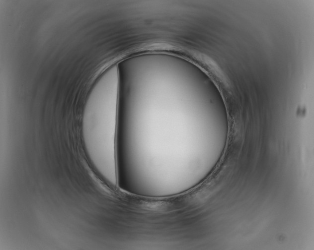 X0000091491225200708161203