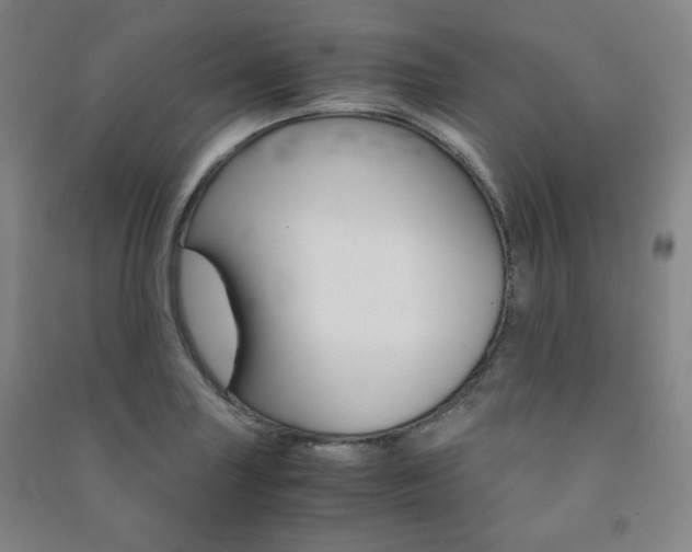 X0000091491227200708161203