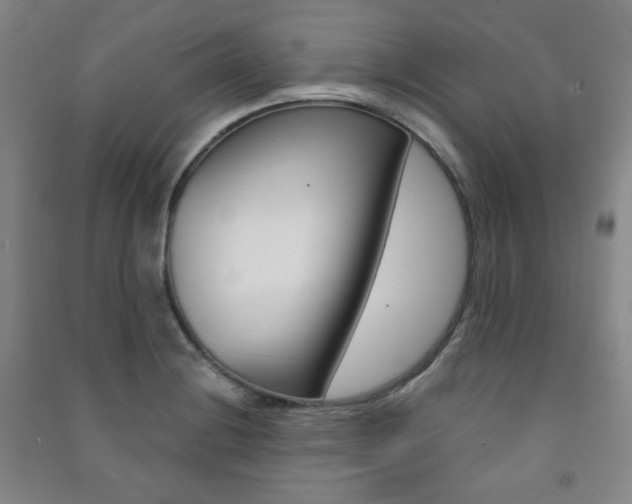 X0000091491228200708161203