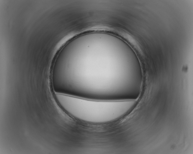 X0000091491229200708161203