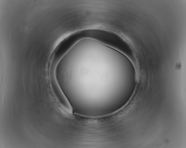 X0000091491230200708161203