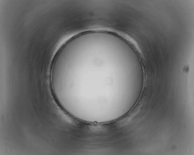 X0000091491231200708161204