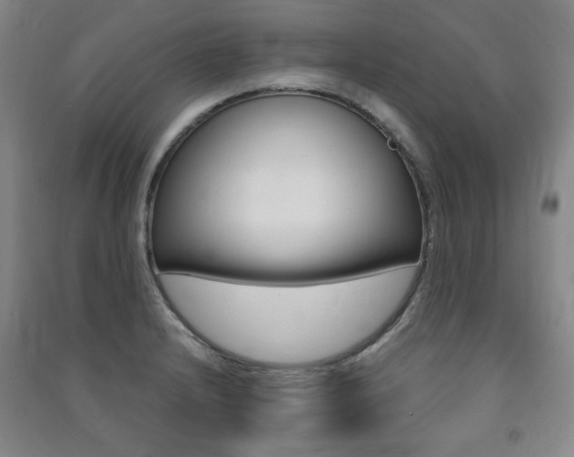 X0000091491232200708161204