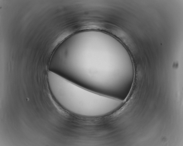 X0000091491233200708161204