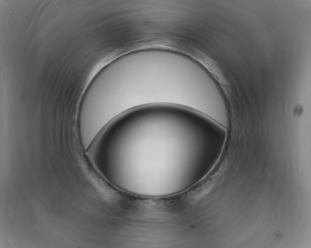X0000091491234200708161204