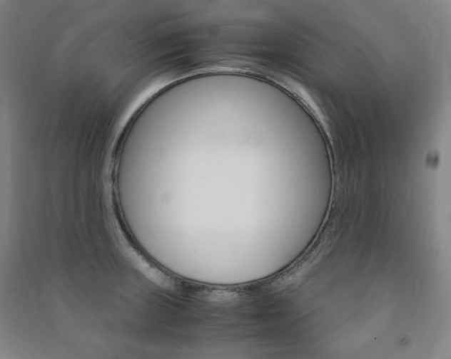 X0000091491235200708161204