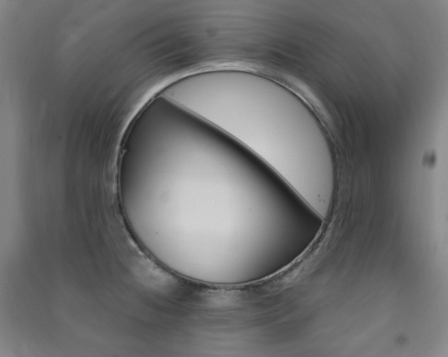 X0000091491236200708161204