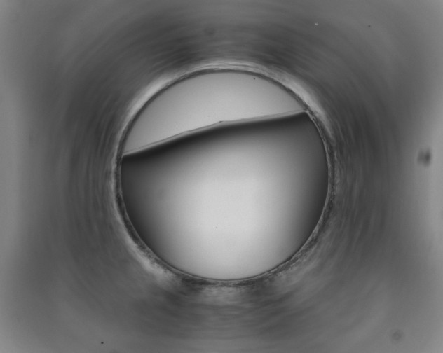 X0000091491237200708161204