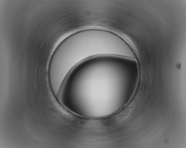 X0000091491238200708161204