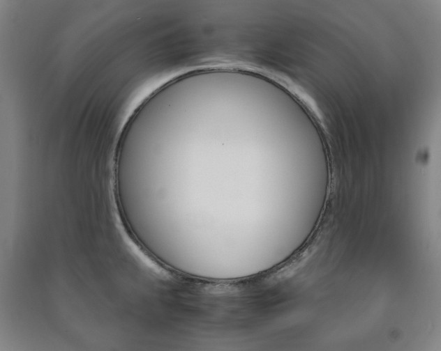 X0000091491239200708161204