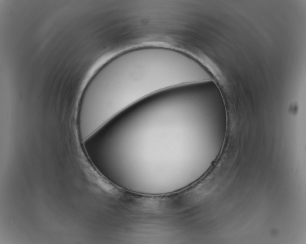 X0000091491240200708161204