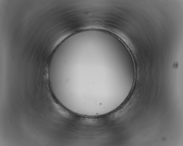 X0000091491241200708161204