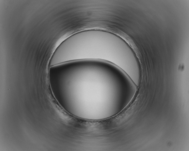 X0000091491242200708161204