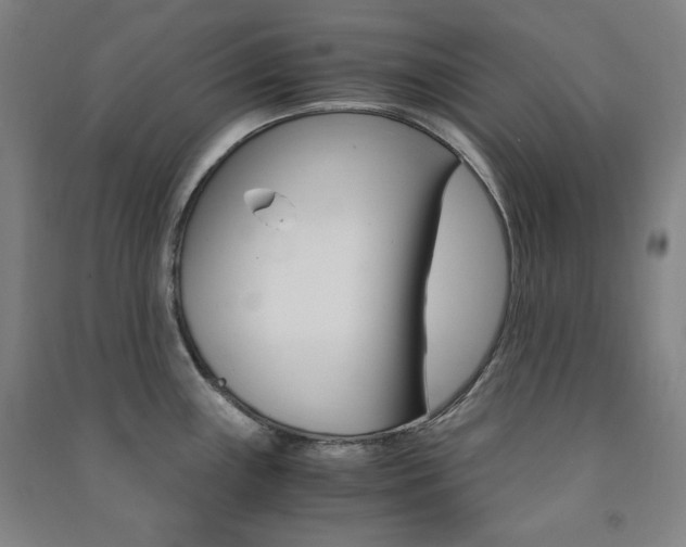 X0000091491243200708161204