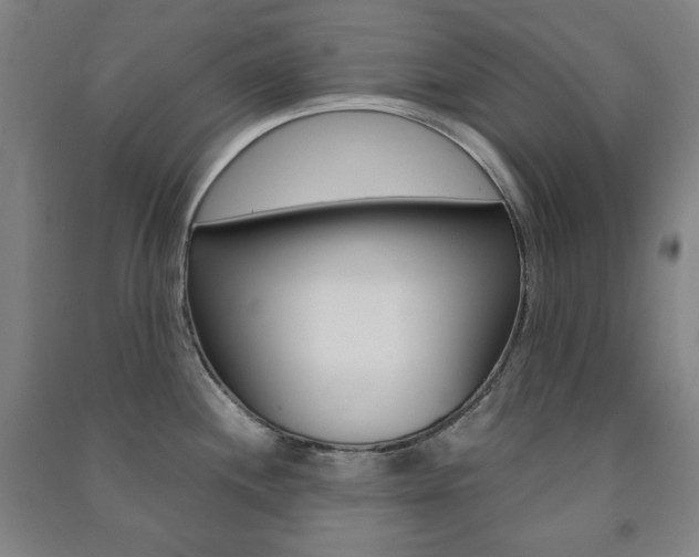 X0000091491244200708161204