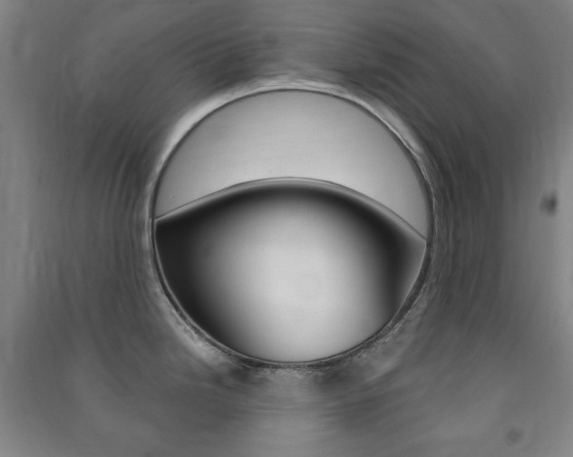 X0000091491246200708161204