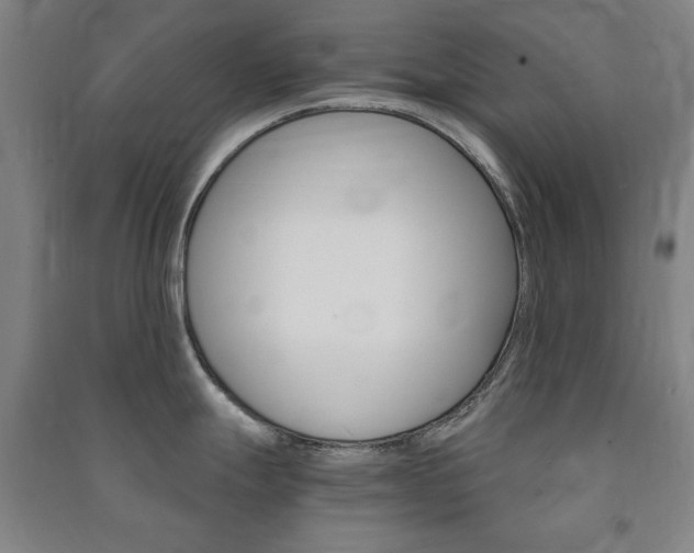 X0000091491247200708161204