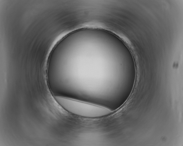 X0000091491248200708161204