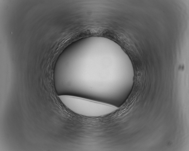 X0000091491249200708161203