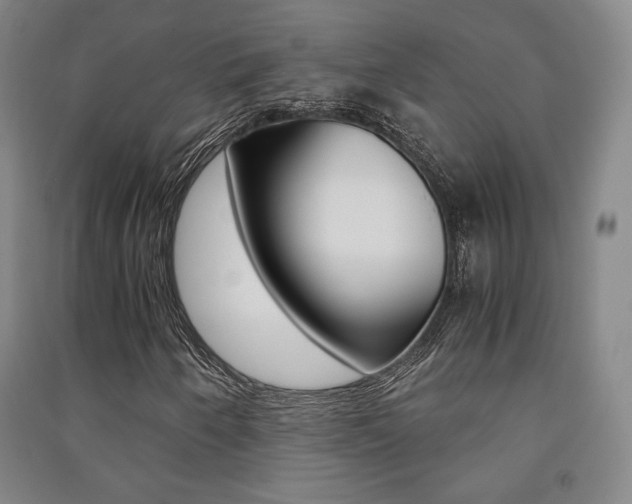 X0000091491250200708161203